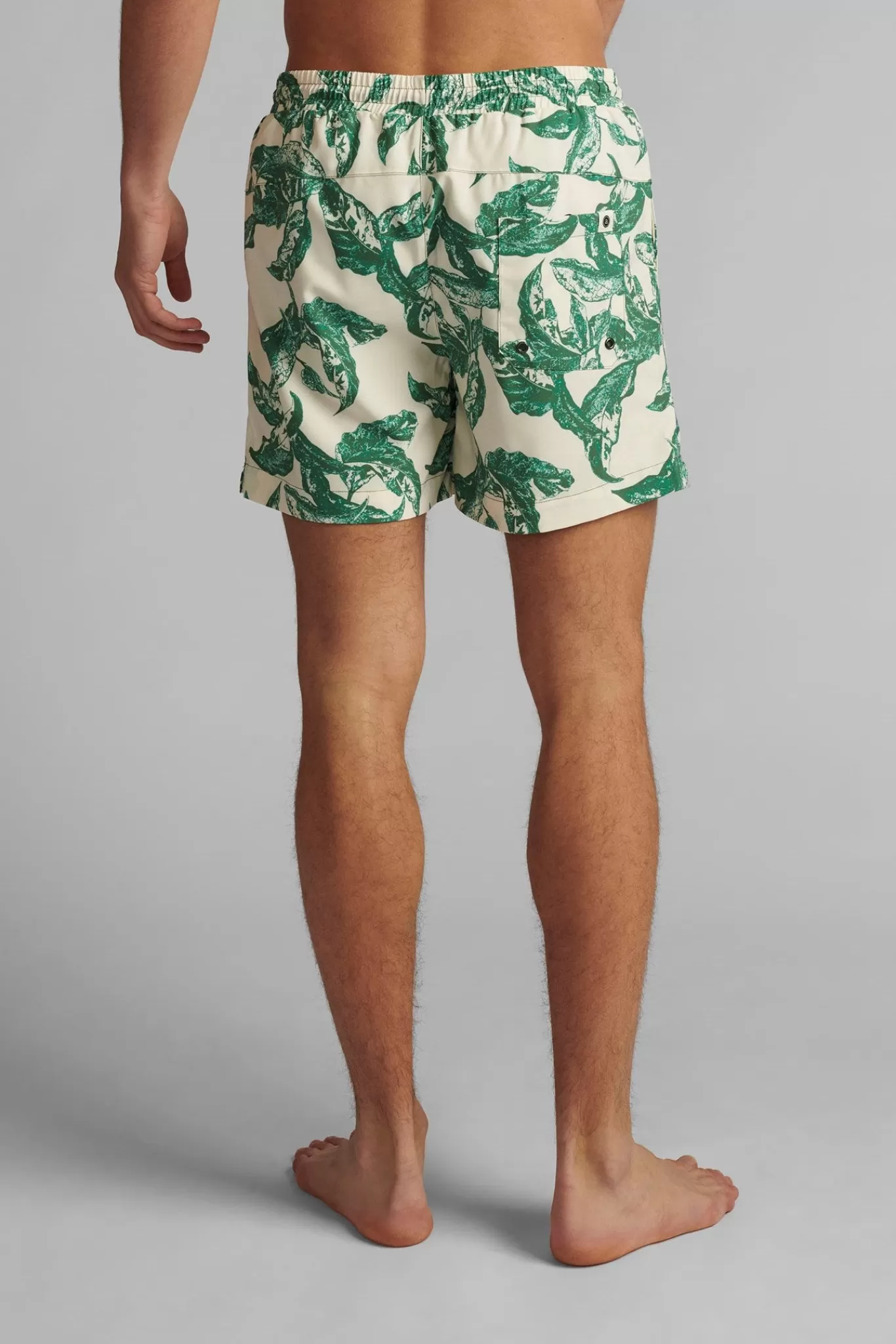 Anerkjendt Shorts<Akshark Aop - Vineyard Green