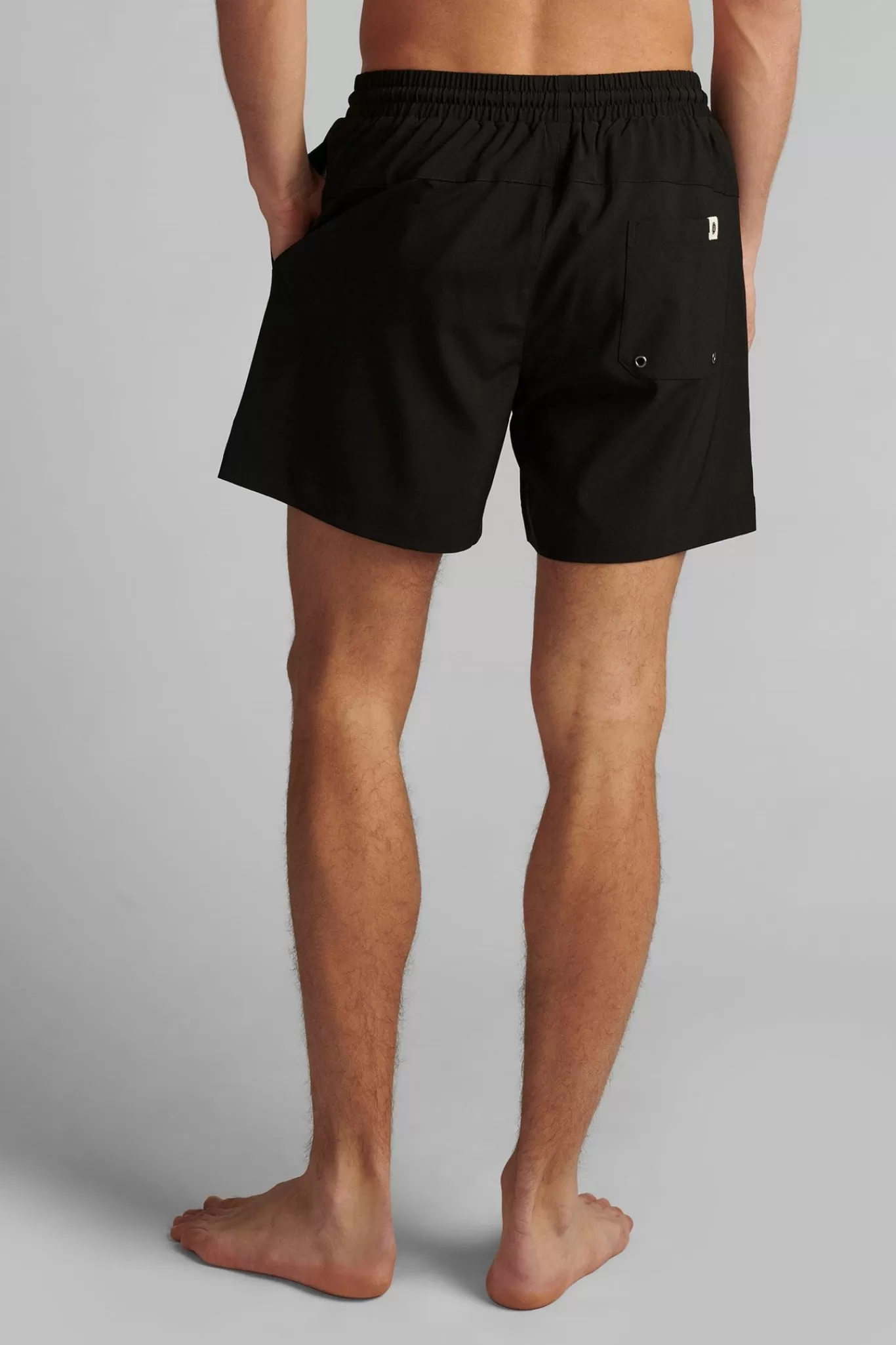 Anerkjendt Shorts<Akshark Solid - Caviar