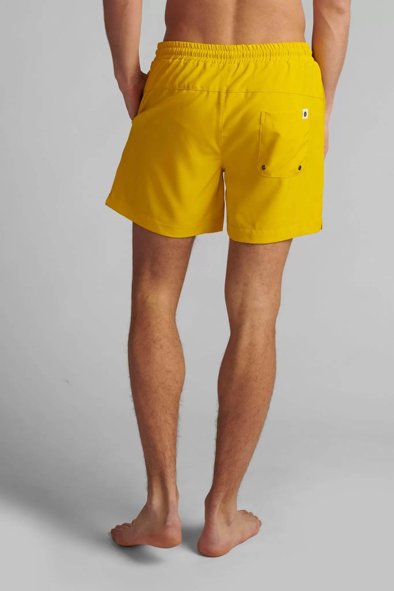 Anerkjendt Shorts<Akshark Solid - Sulphur